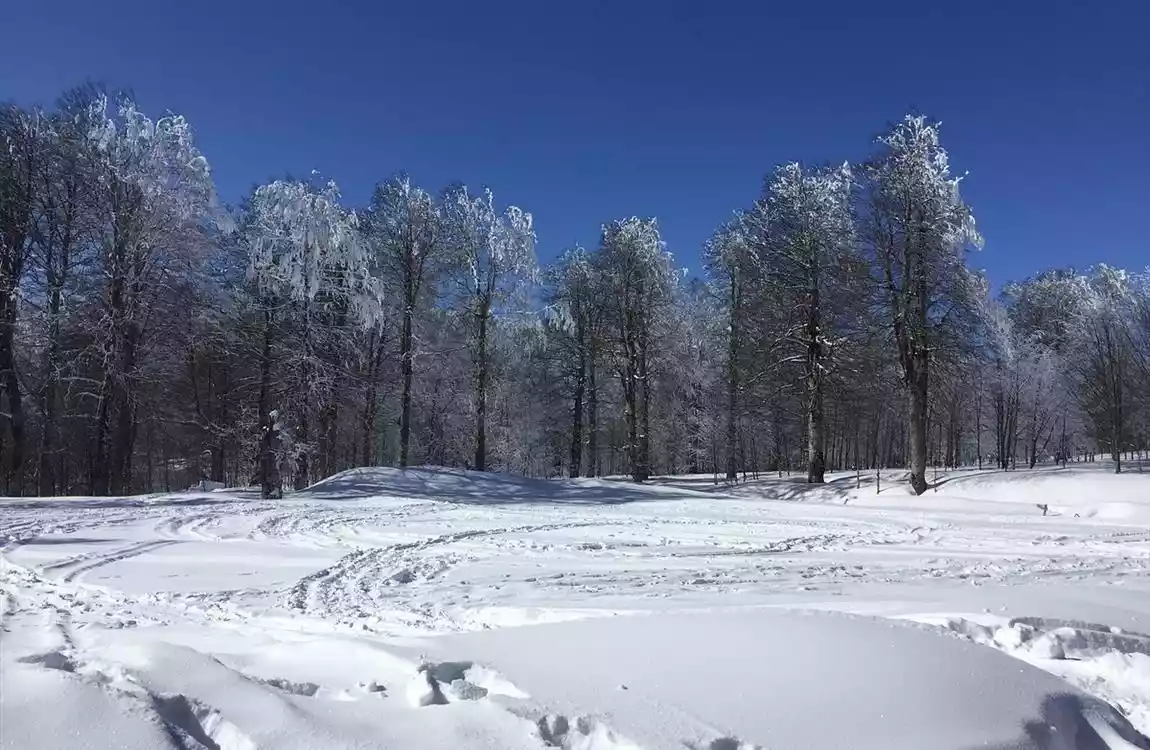Günübirlik Kartepe Kuzu Yayla Maşukiye Macera Parkı Cam Teras Ormanya Turu