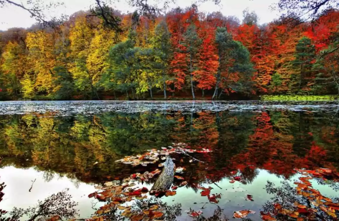 İzmir Çıkışlı Bodrum Marmaris Datça Akyaka Deniz Turu (4 Gece Otel Konaklamalı)