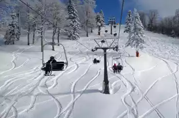 Günübirlik Kartepe Maşukiye Ormanya Cam Teras Turu