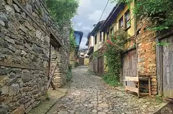 Günübirlik Cumalıkızık Gölyazı  Eskikaraağaç Yaren Leylek Rotası Leylek Şenliği Turu
