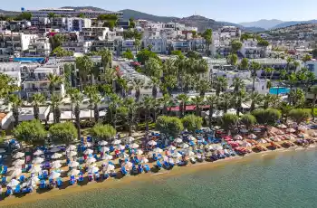 Sami Beach Hotel Gümbet | 4 Gece Konaklama | İstanbul , Bursa Ve İzmir Hareketli 
