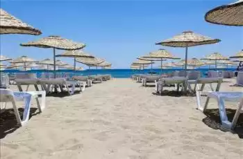 Kurban Bayramı Özel Günübirlik Yüzme Molalı  Ayvalık Sarımsaklı Plajı Turu