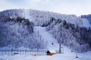 Kartepe Maşukiye Ormanya Turu 1 Gece Konaklamalı