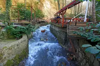 Günübirlik Abant Ormanya Maşukiye Turu