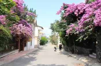 Günübirlik Adalar Turu Yemek Dahil