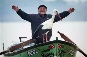 Günübirlik Cumalıkızık Gölyazı  Eskikaraağaç Yaren Leylek Rotası Leylek Şenliği Turu