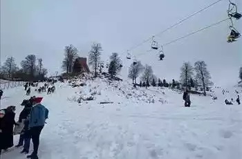 Günübirlik Kartepe Kuzu Yayla Maşukiye Macera Parkı Cam Teras Ormanya Turu