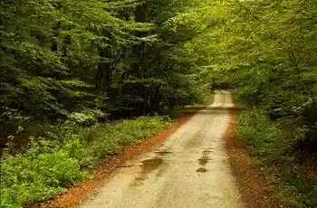 1 Mayıs Özel Günübirlik İğneada Dupnisa Mağarası Longoz Ormanları Turu