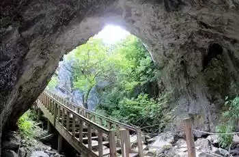 Günübirlik İğneada Dupnisa Mağarası Longoz Ormanları Turu