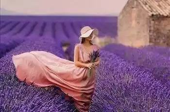 Lavanta Tarlaları Salda Gölü Pamukkale Çeşme Alaçatı Turu 1 Gece Otel Konaklamalı | Kurban Bayramı Özel