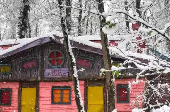 Günübirlik Kartepe Maşukiye Ormanya Cam Teras Turu