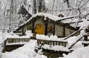 Günübirlik Kartepe Maşukiye Ormanya Cam Teras Turu