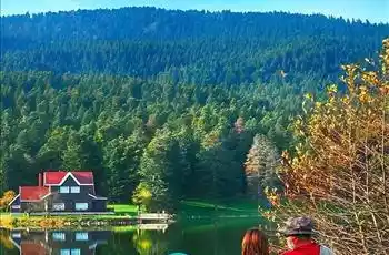 Maşukiye Ormanya Kartepe Abant Gölcük Gölü 1 Gece Otel Konaklamalı