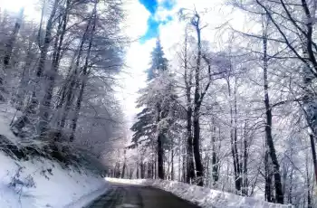 Günübirlik Kartepe Kayak Turu