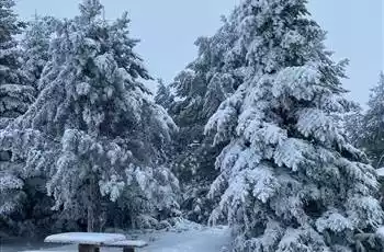 Burçman Otel Uludağ Turu 1 Gece 2 Gün