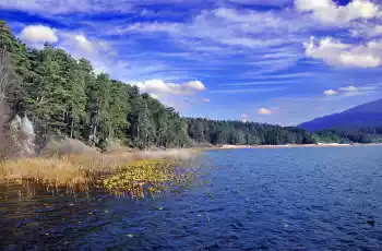 Sevgililer Günü Özel Safranbolu Amasra Abant Turu 1 Gece Konaklama