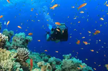 Fethiye Ölüdeniz Kelebekler Vadisi Turu   3 Gece Konaklama