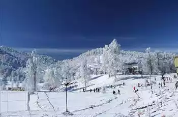 Kartepe Maşukiye Ormanya Turu 2 Gece Konaklamalı