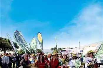 Tek Tur 2 Festival: Alaçatı Ot Festivali & Urla Enginar Festivali