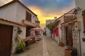 Tek Tur 2 Festival: Alaçatı Ot Festivali & Urla Enginar Festivali