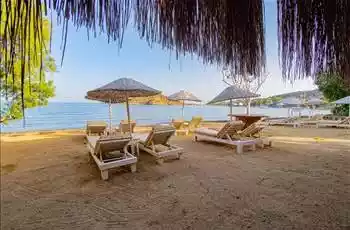 Ladonia Del Mare Hotel Bodrum | 4 Gece Konaklamalı | İstanbul , Bursa Ve İzmir Hareketli