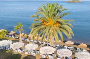 Luna Beach Hotel Bodrum | 3 Gece Konaklamalı |İstanbul , Bursa Ve İzmir Hareketli