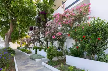 Luna Beach Hotel Bodrum | 4 Gece Konaklamalı |İstanbul , Bursa Ve İzmir Hareketli   Private |