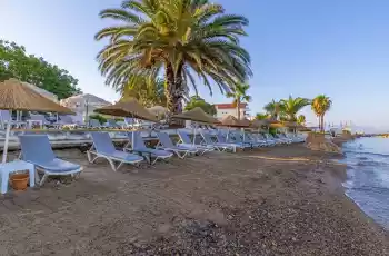 Luna Beach Hotel Bodrum | 4 Gece Konaklamalı |İstanbul , Bursa Ve İzmir Hareketli   Private |