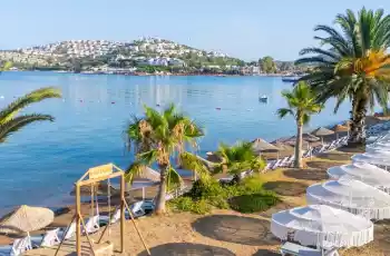 Luna Beach Hotel Bodrum | 4 Gece Konaklamalı |İstanbul , Bursa Ve İzmir Hareketli   Private |