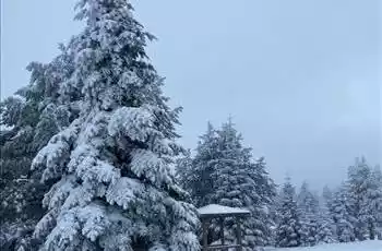 Dağ Konaklamalı Uludağ Turu | 1 Gece Konaklamalı | İstanbul Hareketli