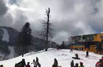 Günübirlik Kartepe Kuzu Yayla Maşukiye Macera Parkı Cam Teras Ormanya Turu
