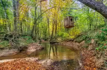 Edirne, Kıyıköy, İğneada Turu 1 Gece Otel Konaklamalı