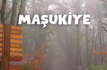 Kurban Bayramı Özel Günübirlik Maşukiye Cam Teras Ormanya Hobbit Evleri Turu