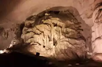 Kurban Bayramı Özel Günübirlik İğneada Dupnisa Mağarası Longoz Ormanları Turu