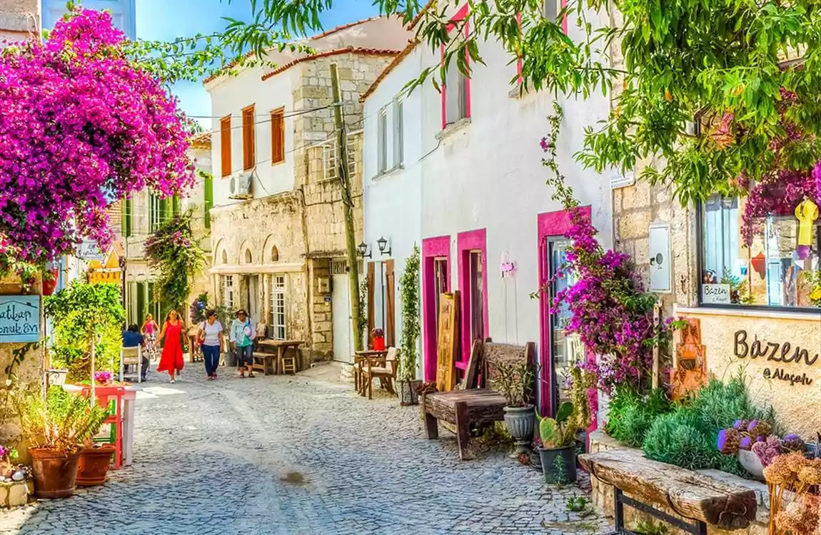 Tek Tur 2 Festival: Alaçatı Ot Festivali & Urla Enginar Festivali