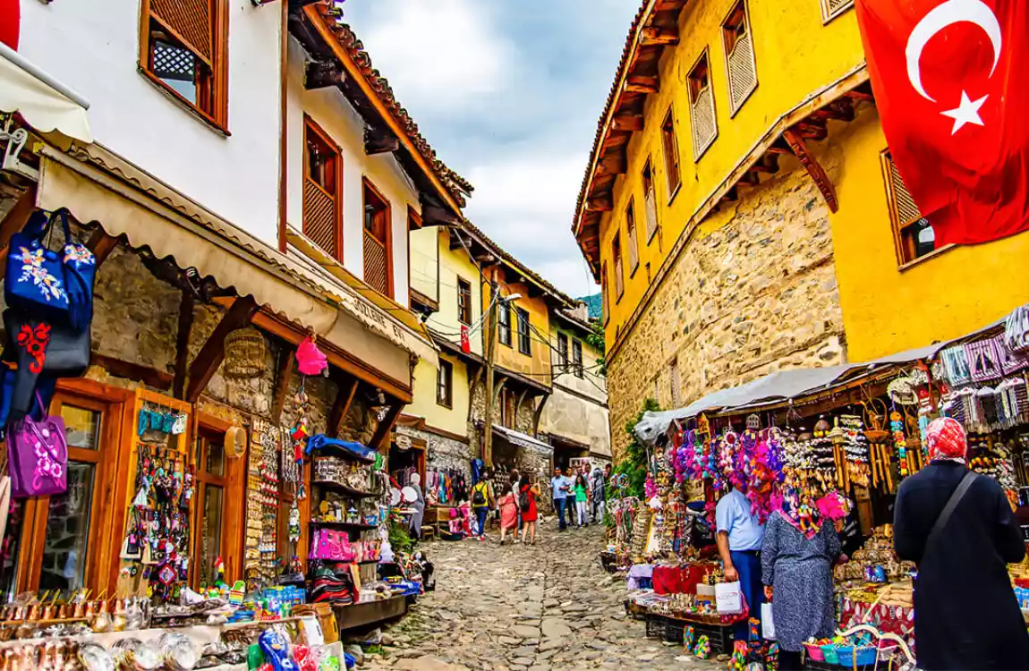 1 Mayıs Özel Günübirlik Cumalıkızık Gölyazı Mudanya Trilye Turu