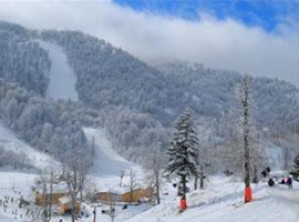 Kartepe Ormanya Maşukiye Sapanca Turu   1 Gece Otel Konaklamalı