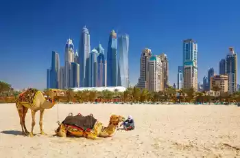 4 Kal 3 Öde Dubai Turu Pegasus Havayolları İle 4 Gece Konaklama Abu Dhabi Gidiş – Sharjah Dönüş 2024 - 2025 Kış