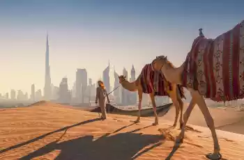 Bae - Dubai Turları