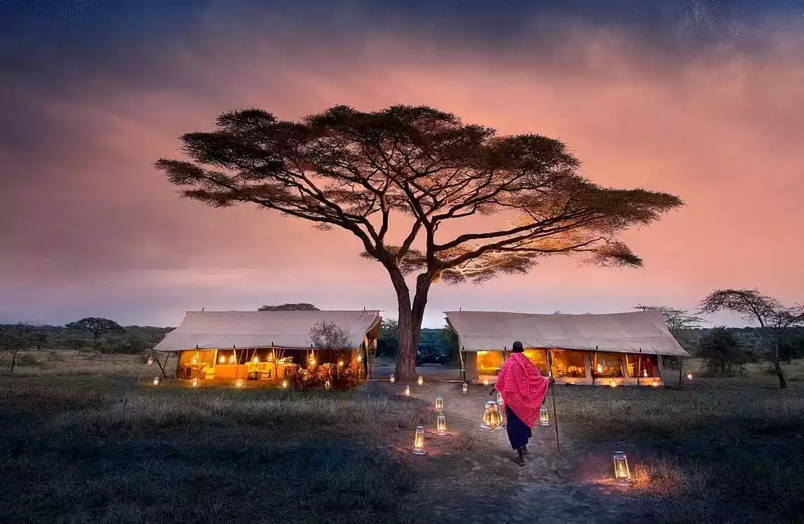 Elegant Kenya Tanzanya Büyük Göç Turu 9 Gece 10 Gün Türk Hava Yolları İle Ekstra Turlar Dahil