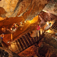 Günübirlik İğneada Dupnisa Mağarası Longoz Ormanları Turu