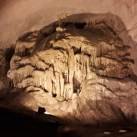 Günübirlik İğneada Dupnisa Mağarası Longoz Ormanları Turu