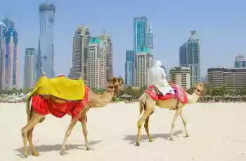 Dubai Turu    Pegasus İle   Dubai İkonları Turu!   Abu Dhabi İkonları Turları Dahil!   4 Gece Otel Konaklamalı 