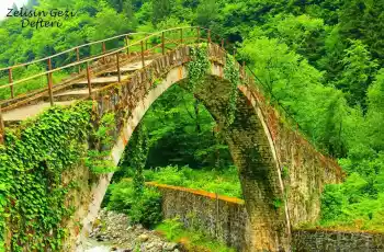 Uçaklı Rüya Gibi Doğu Karadeniz Yaylalar Ve Batum Turu 5 Gece Otel Konaklamalı