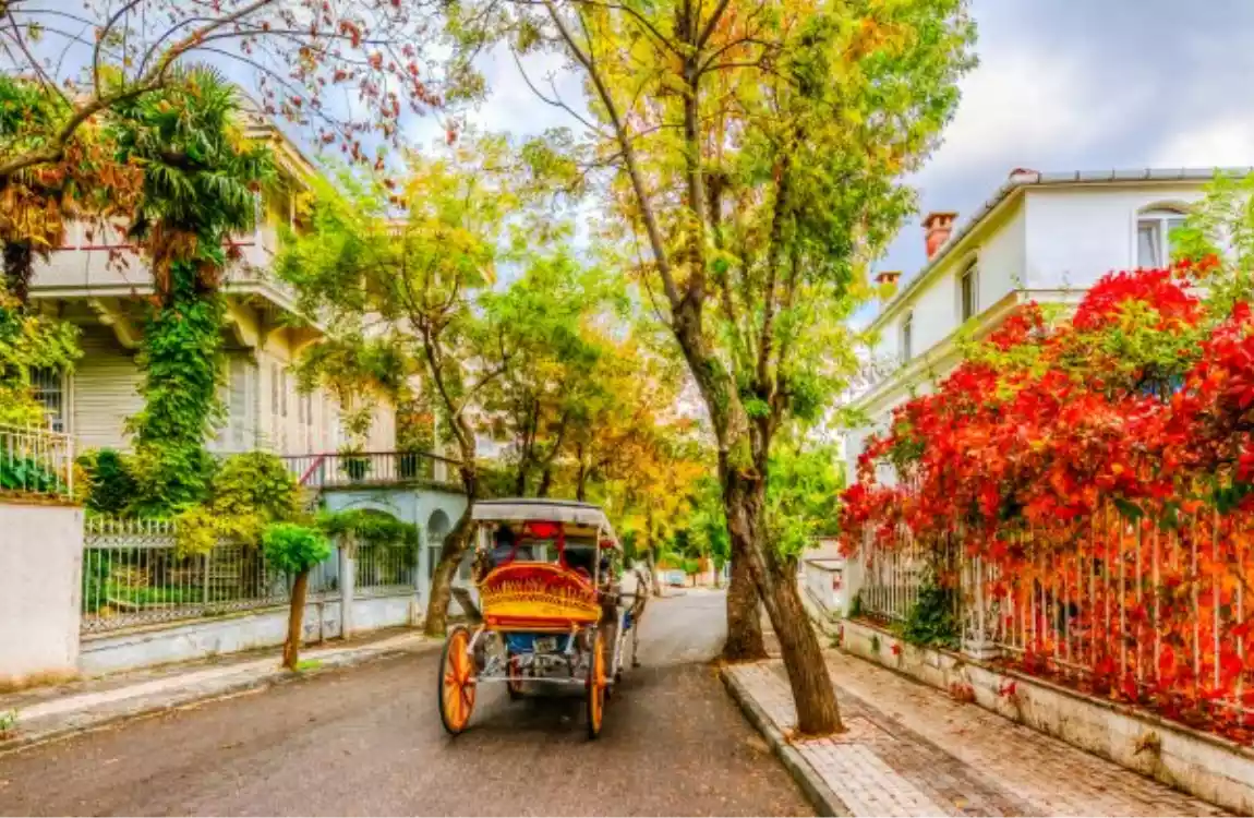 Istanbul Princes' Islands Cruise Full Day Tour