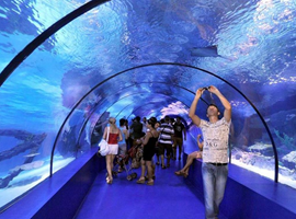 Antalya Aquarium Tour