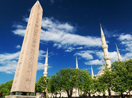1 Day Guide & Vehicle Disposal Tour (Ottoman & Byzantine Heritages & Bosphorus Cruise)
