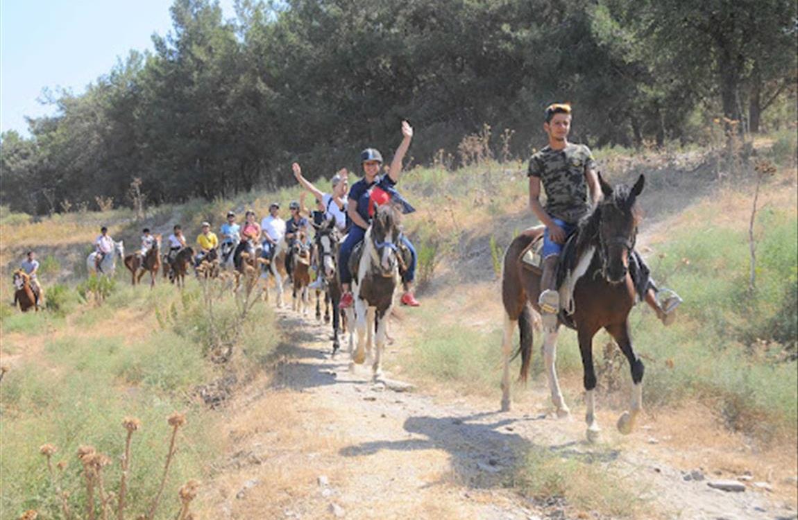 Adventure & Entertainment