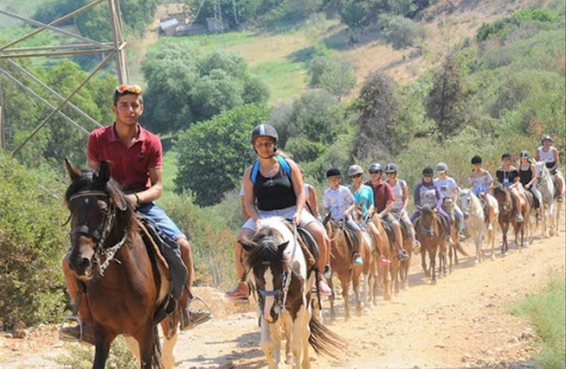 Adventure & Entertainment